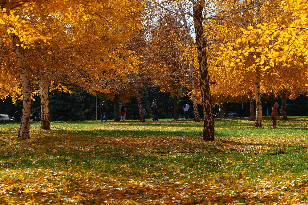 Photograph by Александр Шаварёв