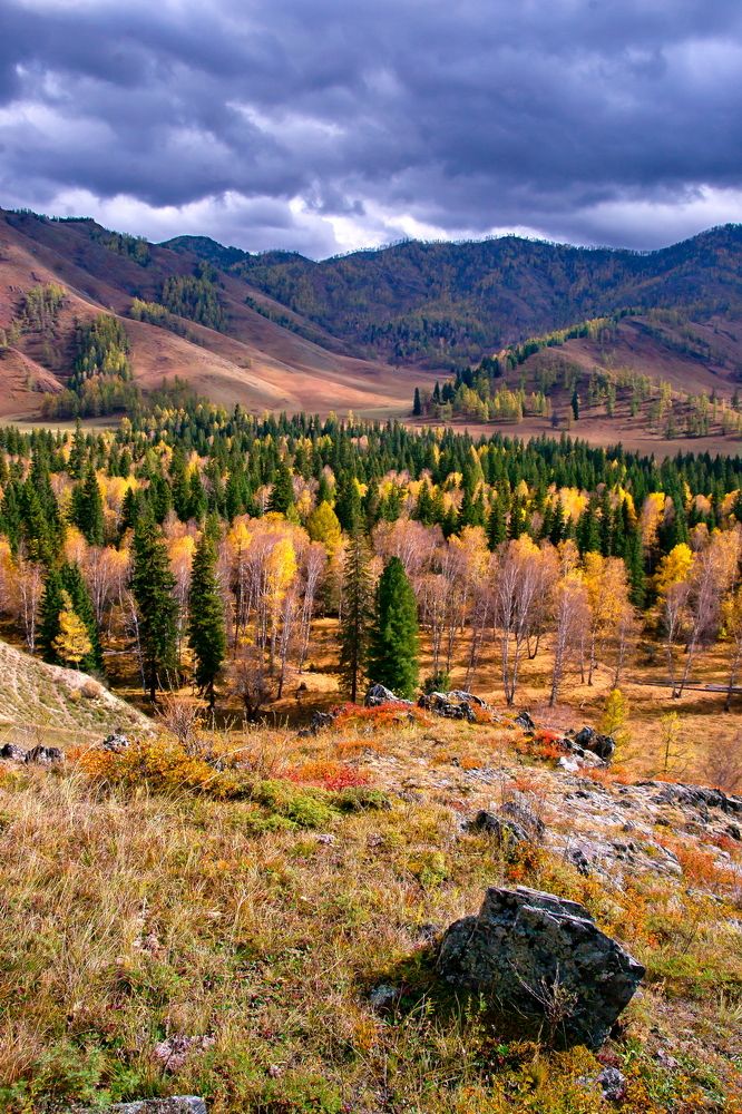 Photograph by Анатолий Стафичук