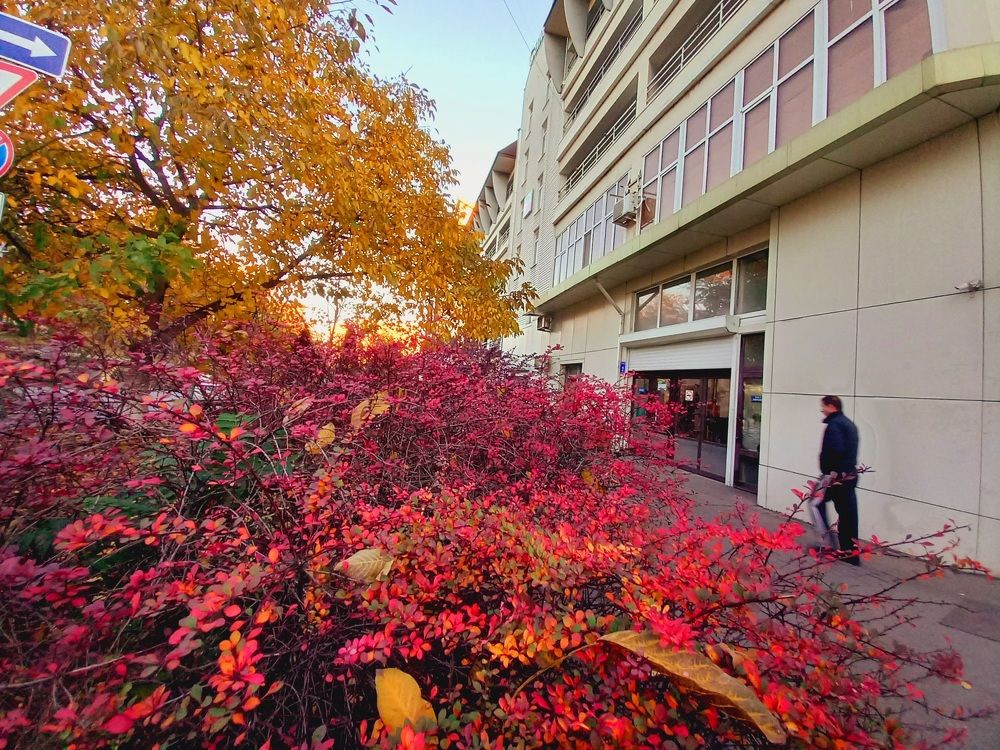 Photograph by Марина Храпова