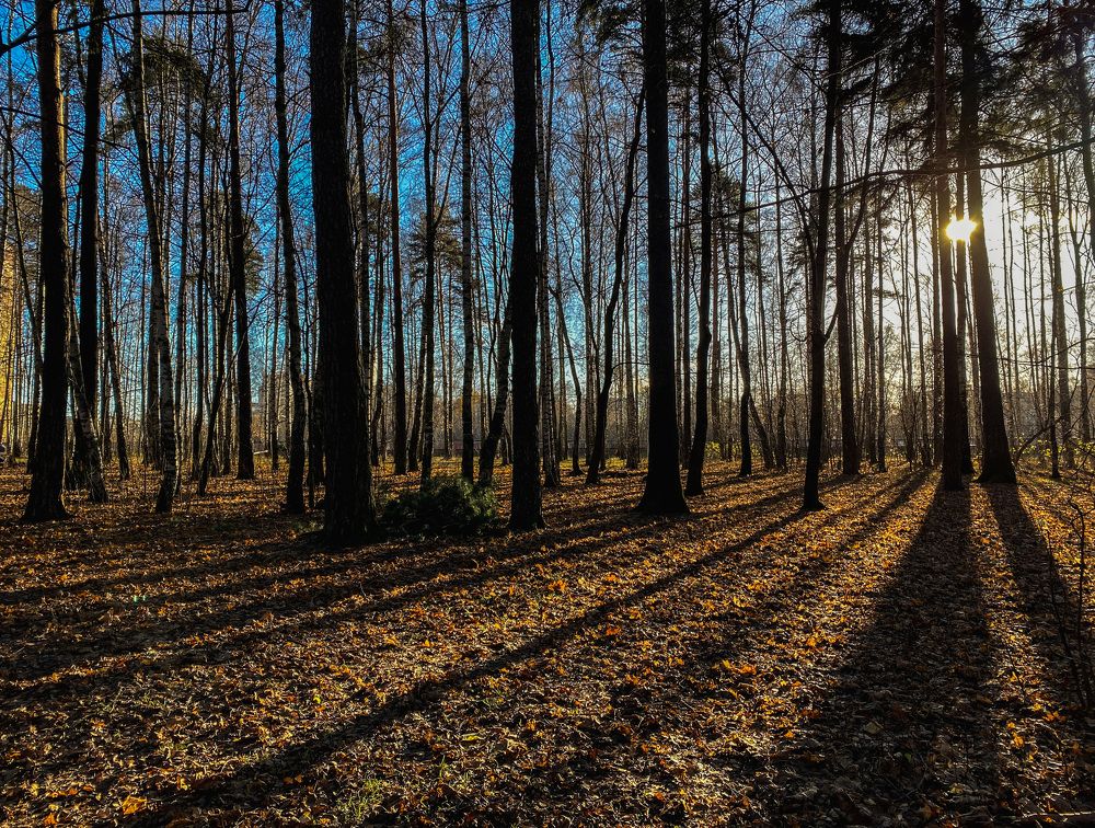 Photograph by Виктория Лаур