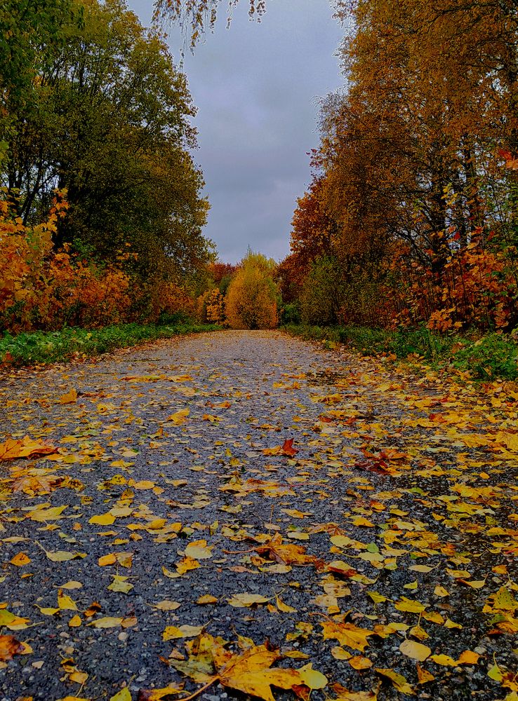 Photograph by Виталий Грачёв