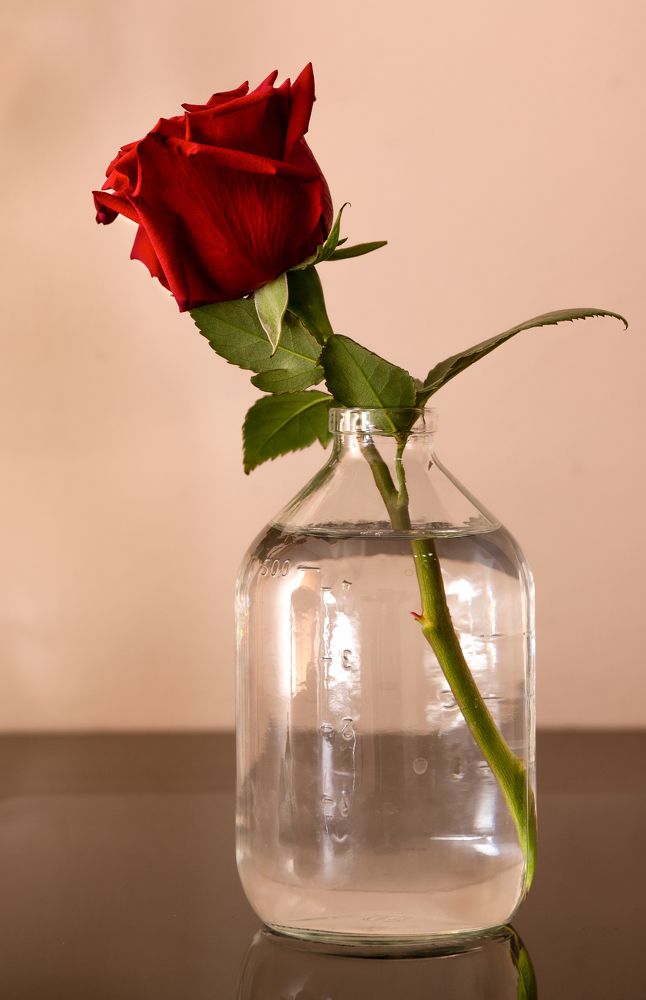 Photograph by Александр Литвиненко