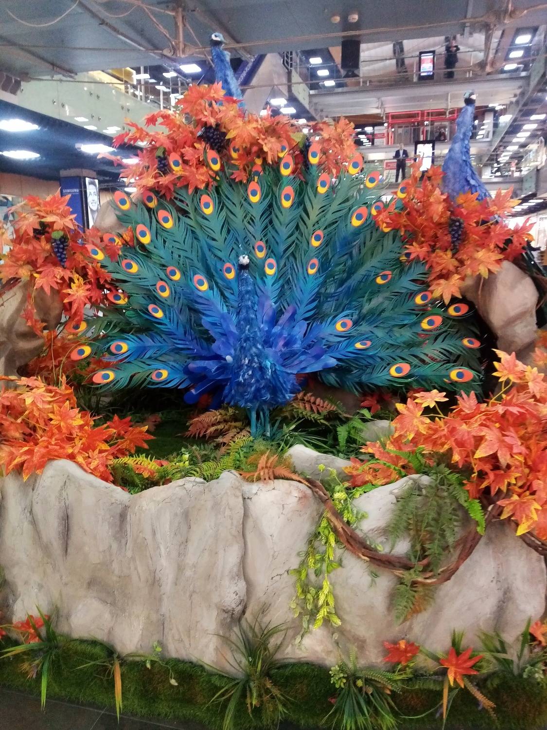 Photo #8356130