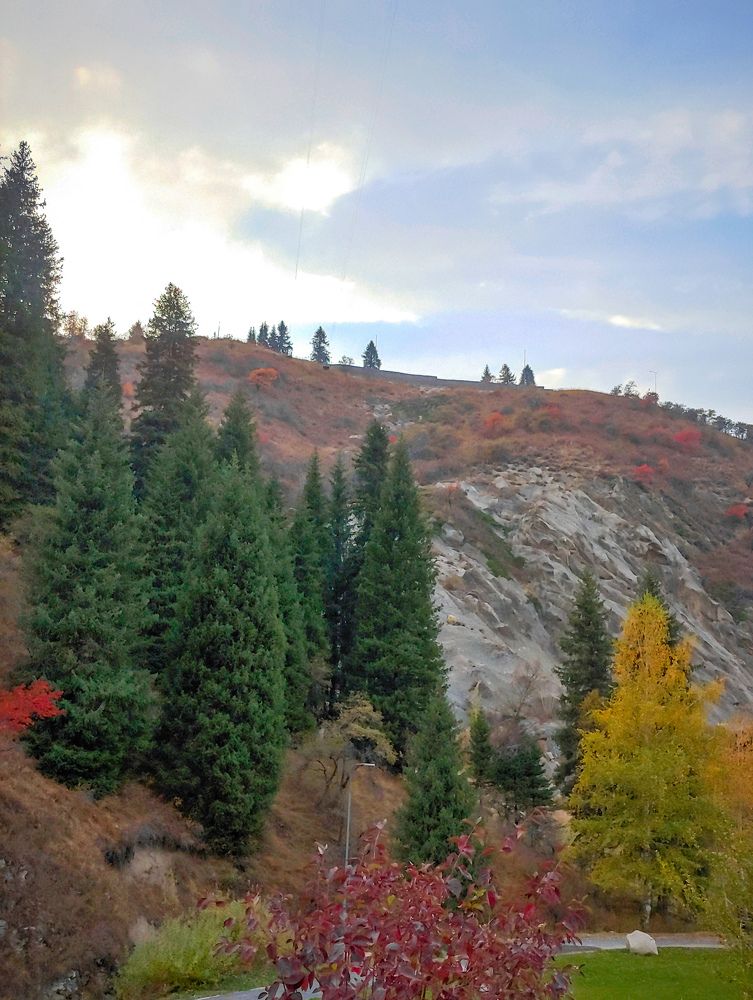 Photograph by Любовь Толстова