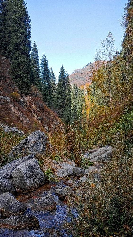 Photograph by Любовь Толстова