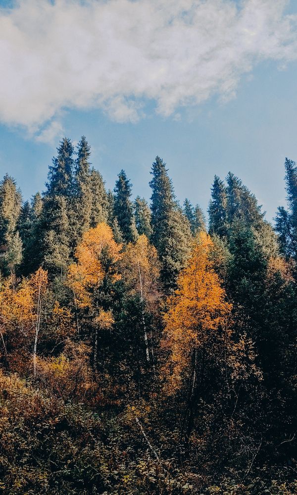 Photograph by Любовь Толстова