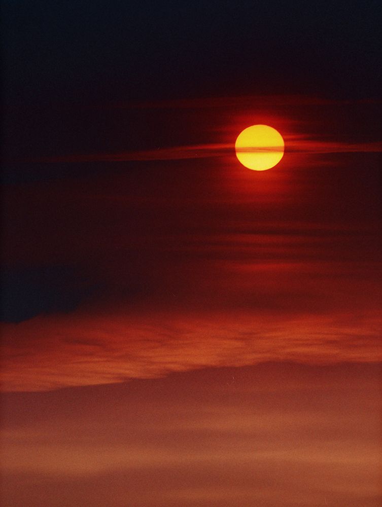 Photograph by Сергей