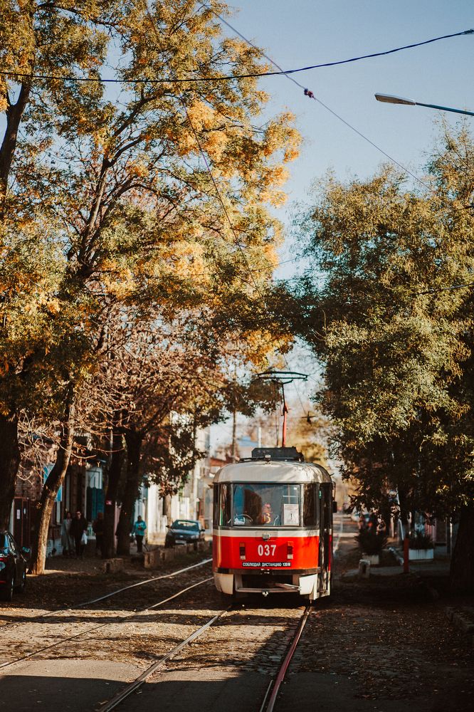 Photograph by Суханкина Елена