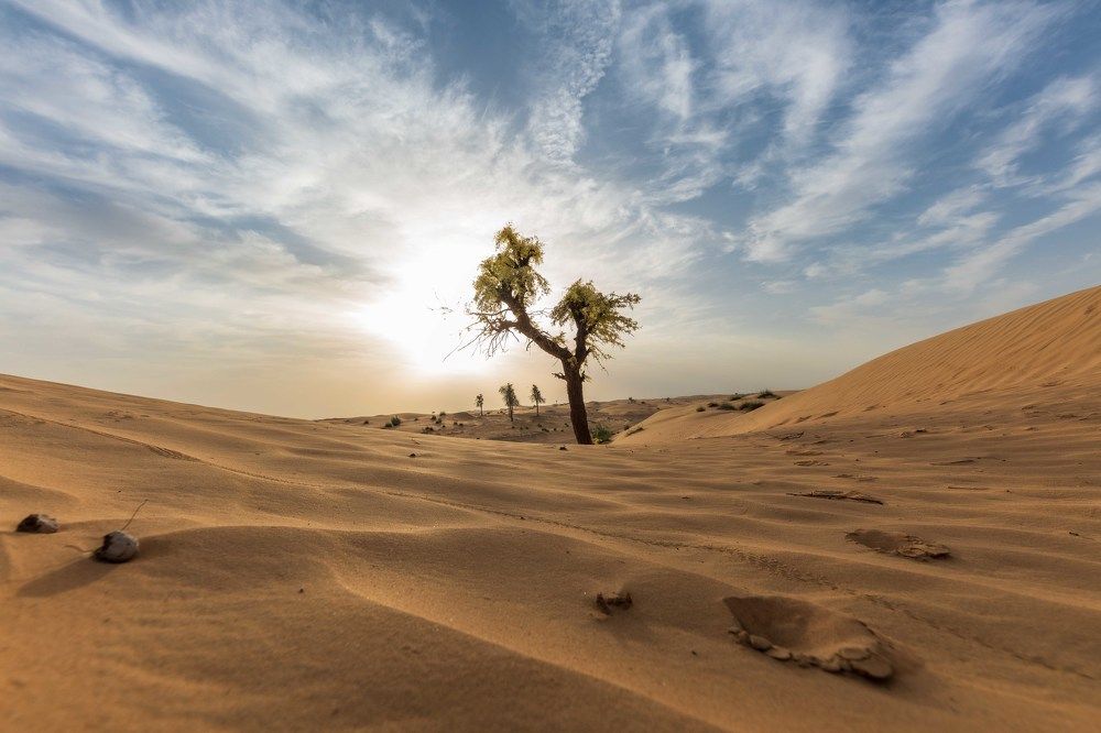 Photograph by Zubair Irshad