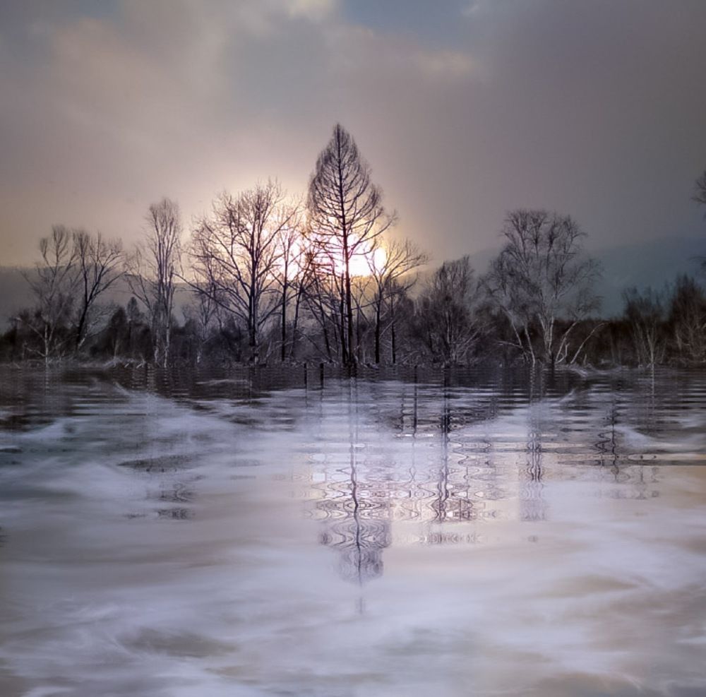 Photograph by 