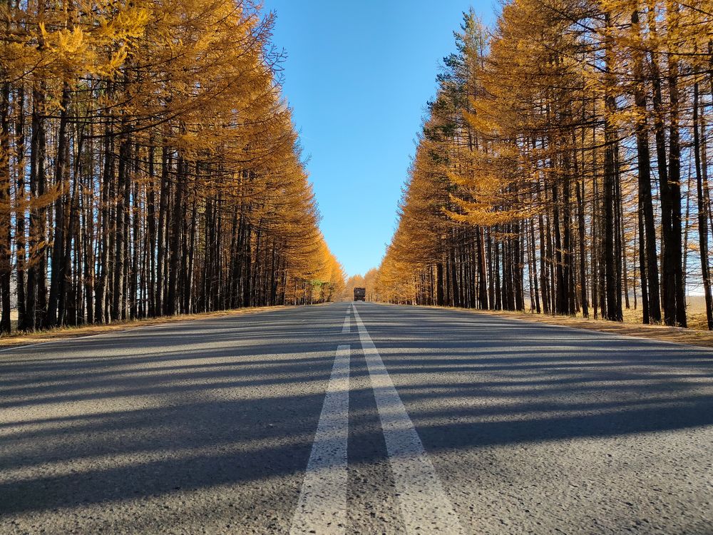 Photograph by Наиль Шакиров