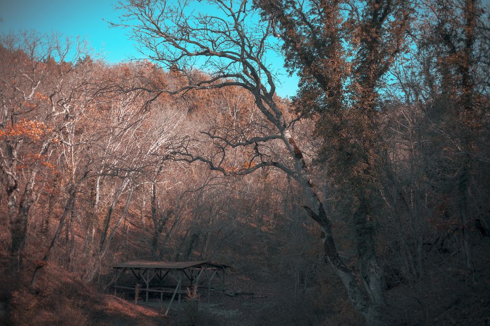 Photograph by Фримэн Андрей