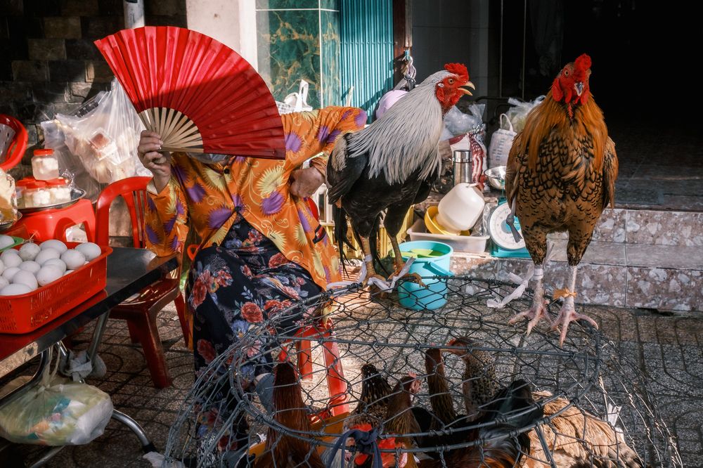 Photograph by Gil Kreslavsky