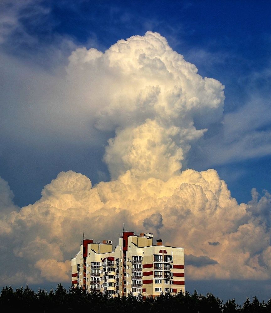 Photograph by 