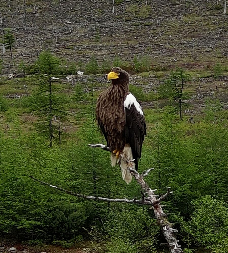 Photograph by Dmitriy Marchenko