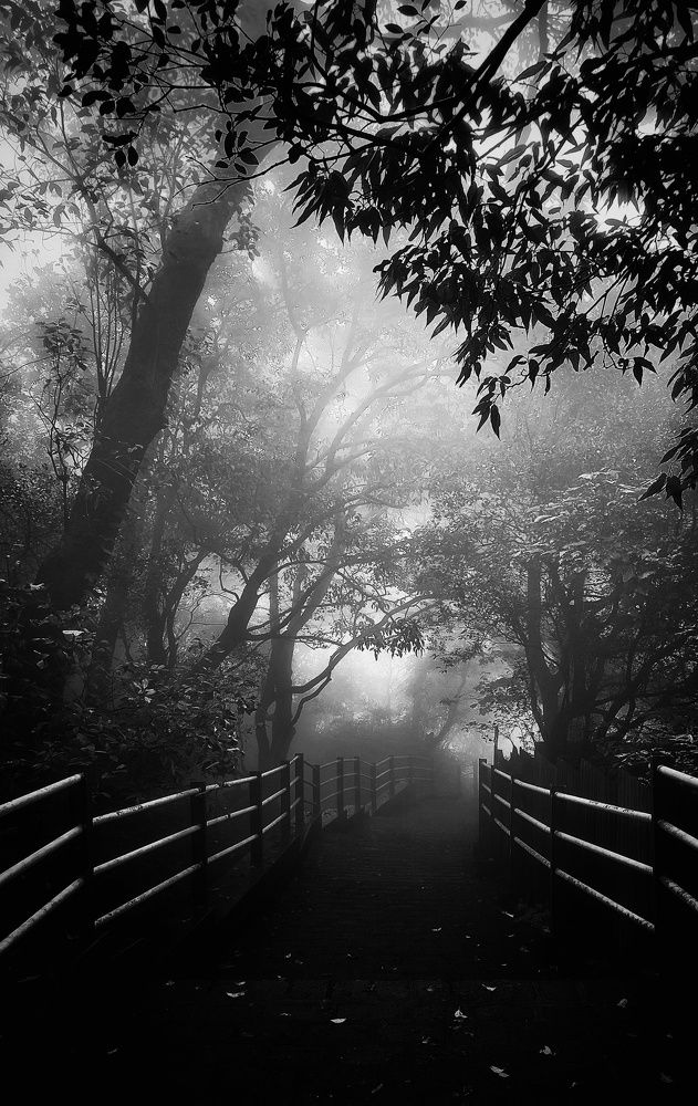 Photograph by Shubham Singh