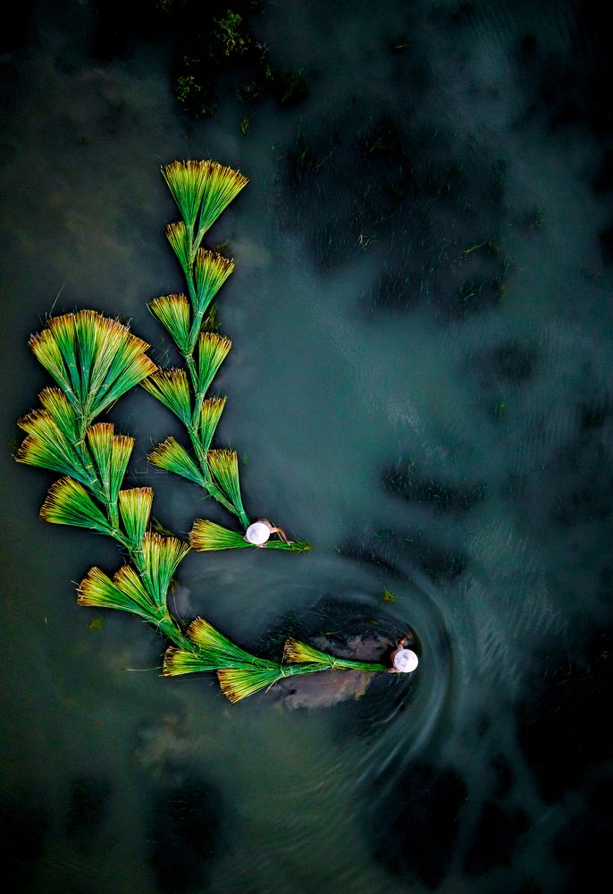 Photograph by Lê Huy Anh