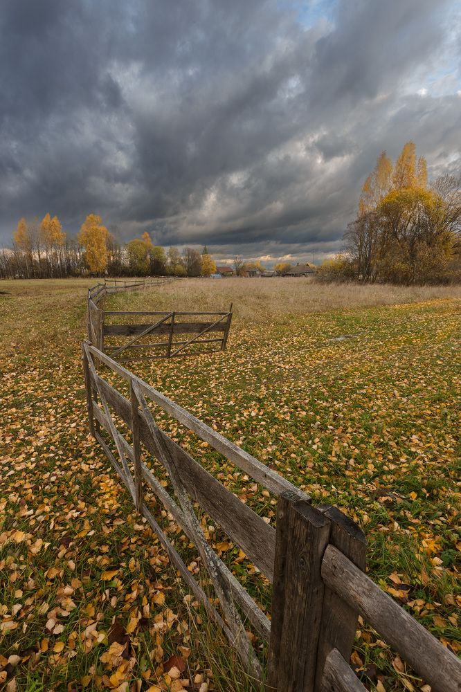 Photograph by Зеленько Дмитрий