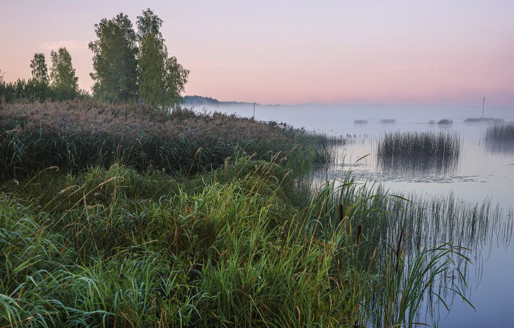 Photograph by Зеленько Дмитрий