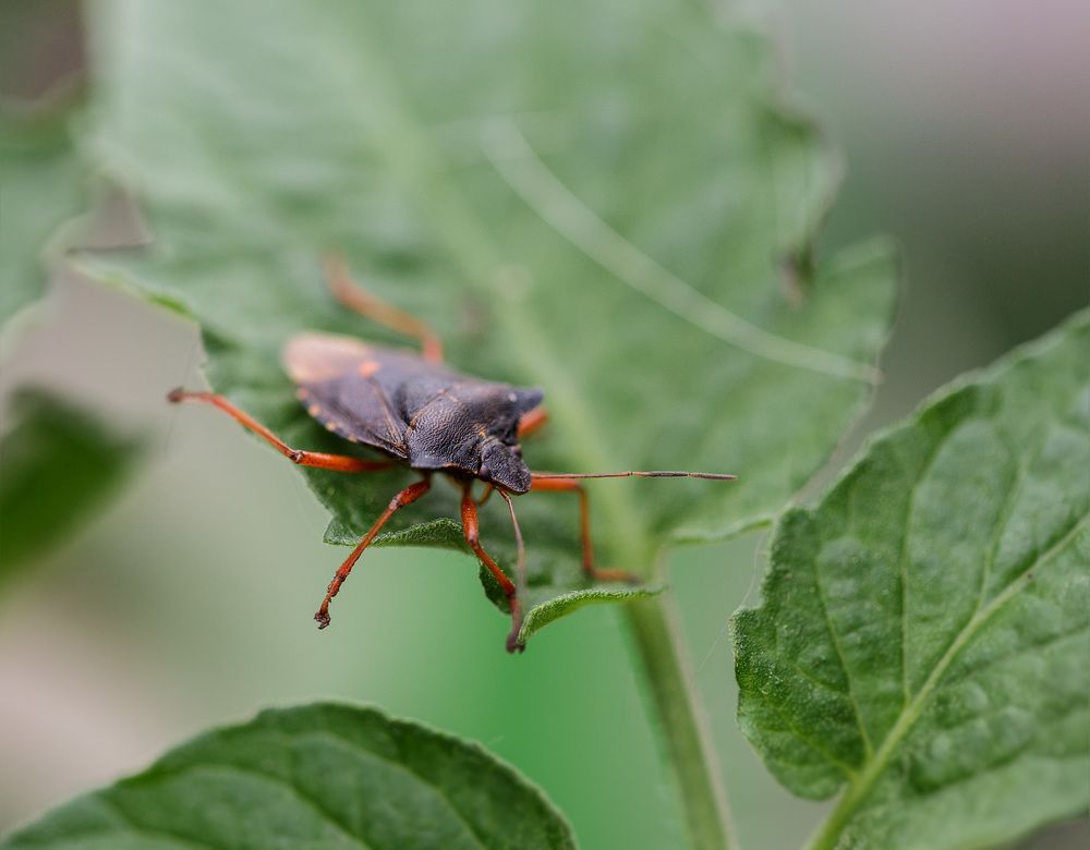 Photograph by Зеленько Дмитрий