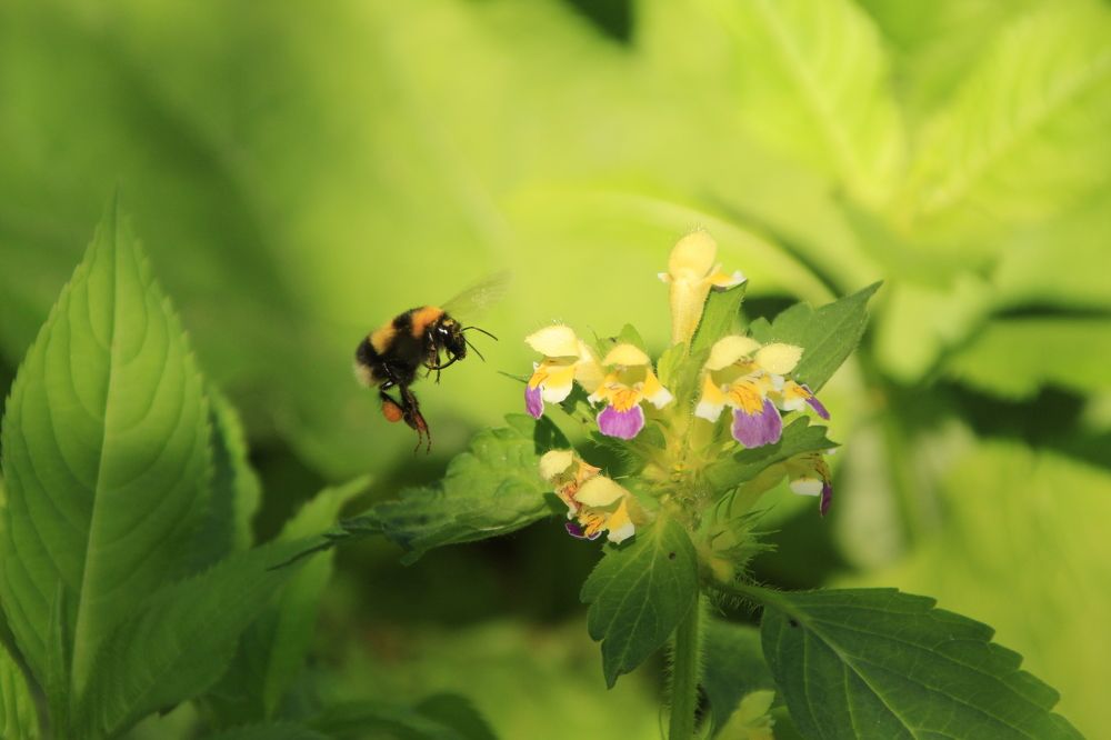 Photograph by Илья Беликов