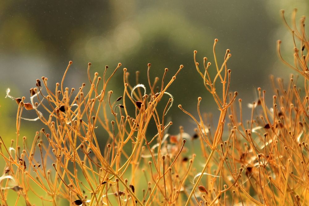 Photograph by Илья Беликов