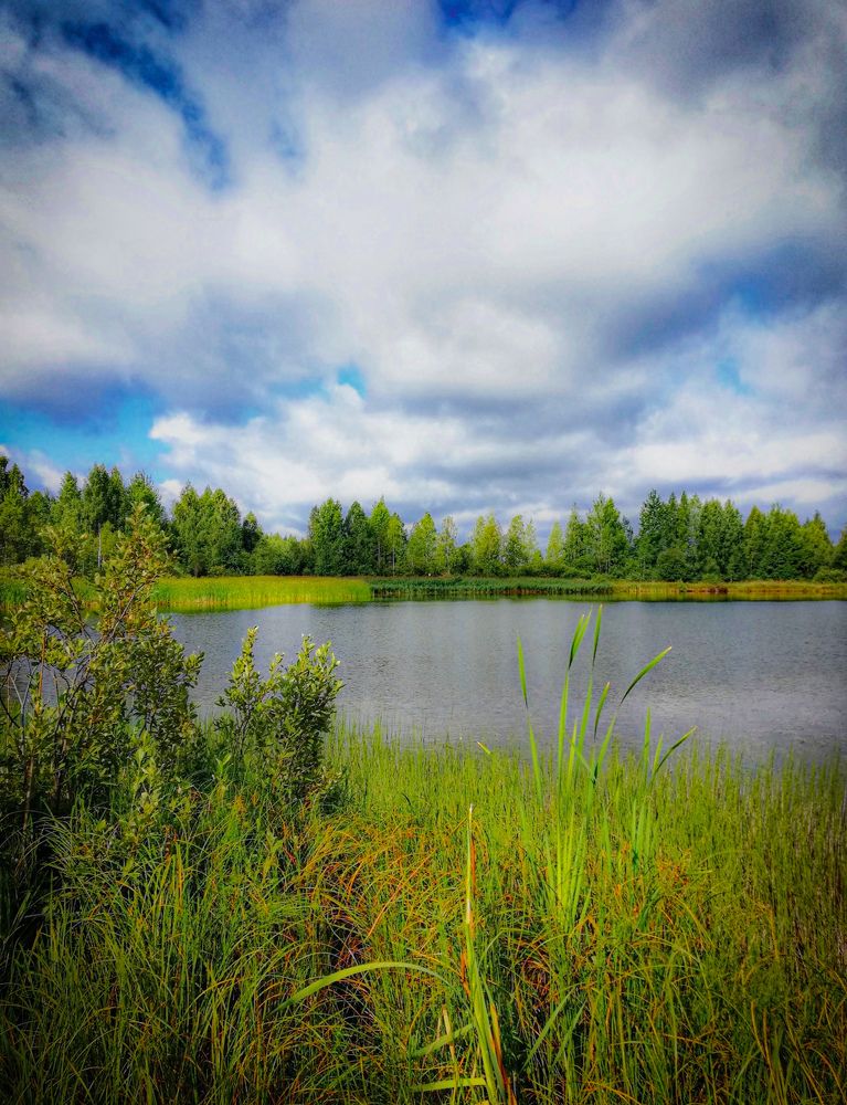 Photograph by Сергей Шубин