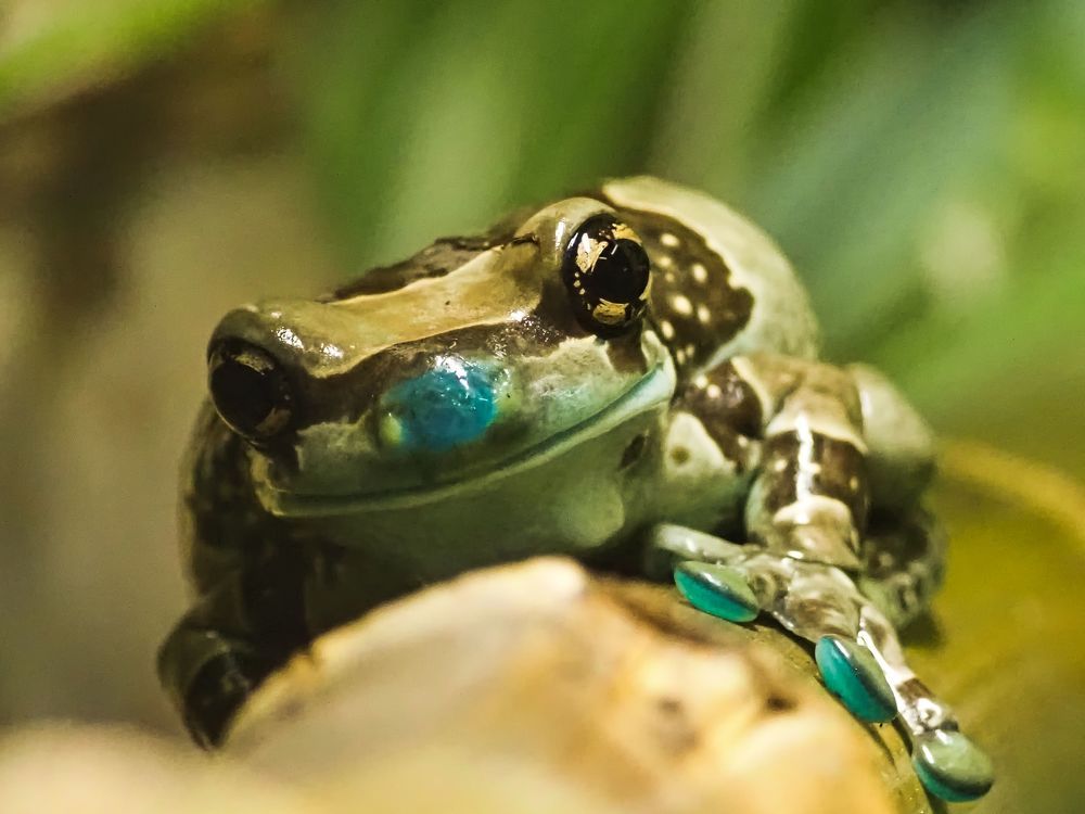 Фотография автора Jaroslav Hanzalík