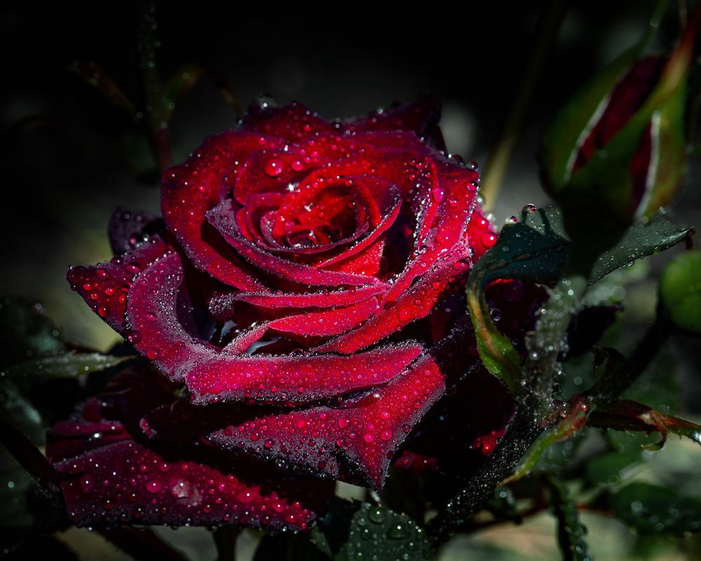 Photograph by Виктор Холодов