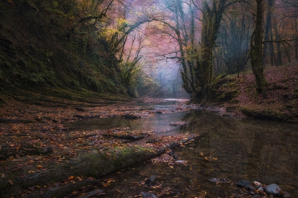 Photograph by Светлана Краюшкина