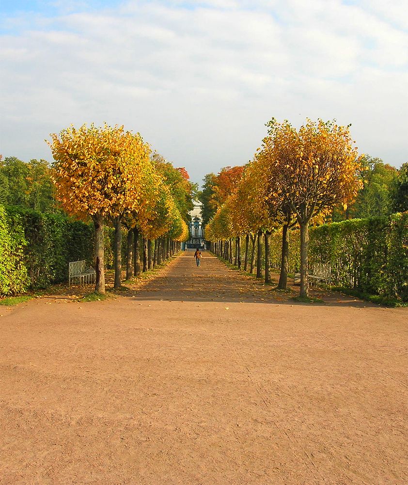 Photograph by Алексей