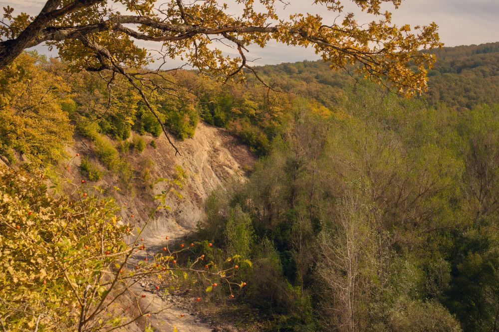 Осень в Краснодарском крае