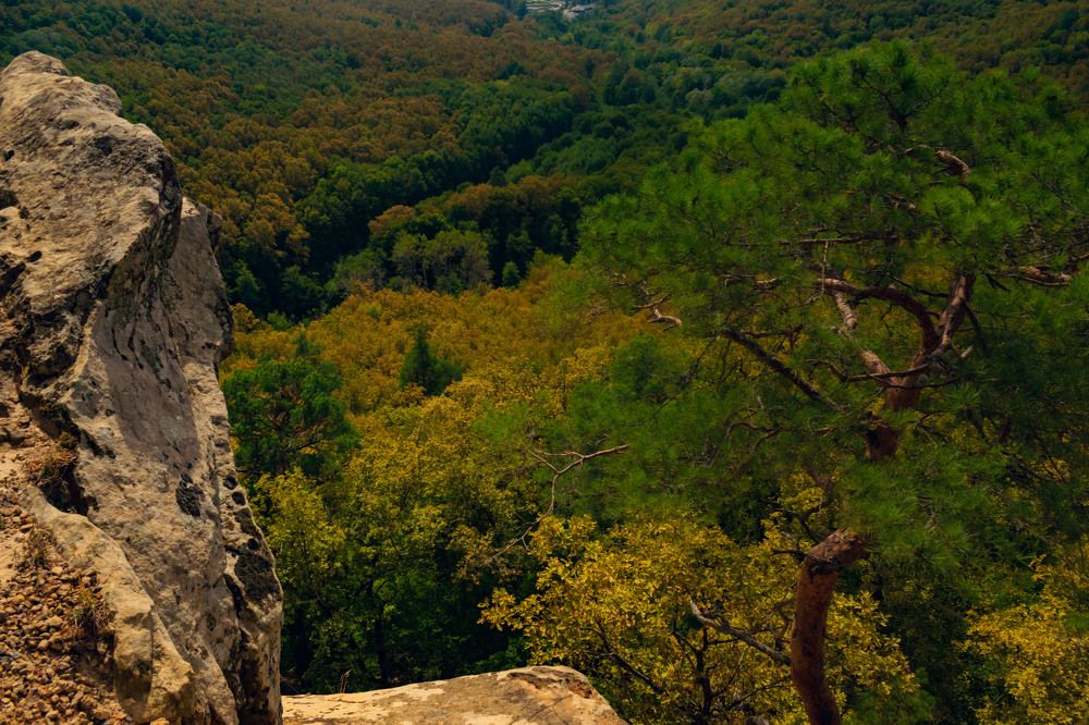 Осень в Краснодарском крае