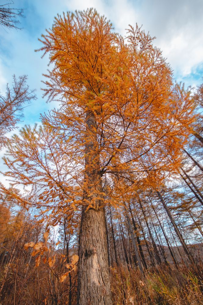 Photograph by Anna Turks