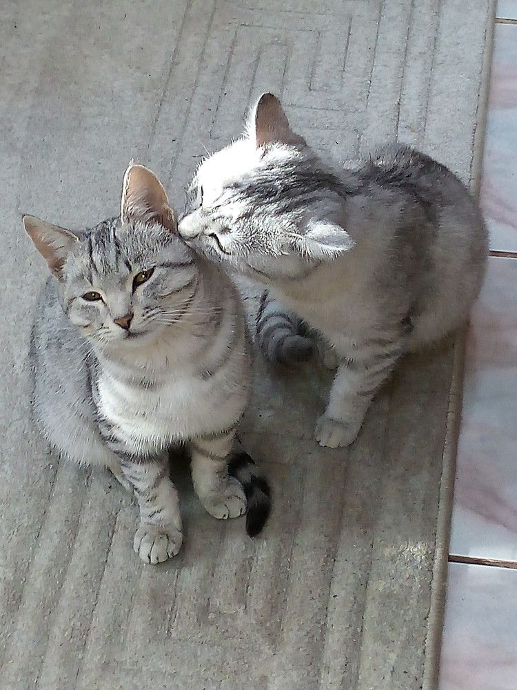 Photograph by Елена Мясникова