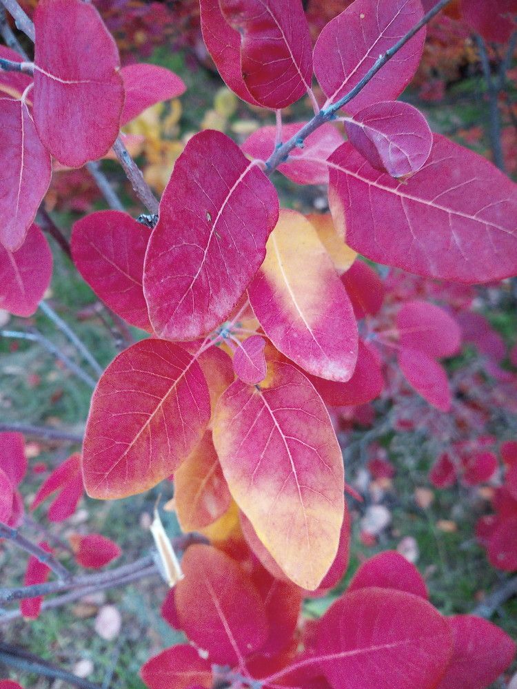 Photograph by Елена Мясникова