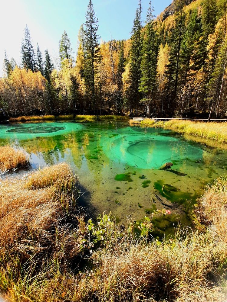 Photograph by Евгения Новоселова