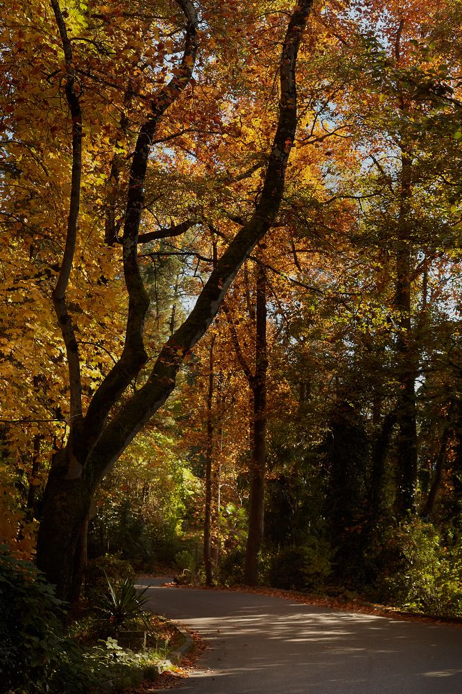 Photograph by Елена Звягина