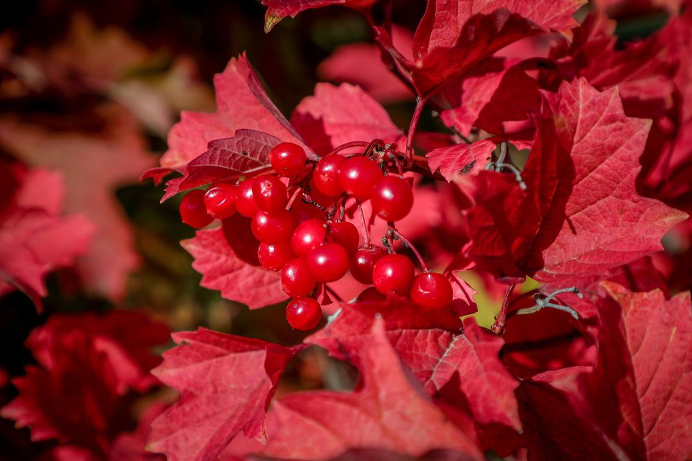 Фотография автора Юрий Фефилов