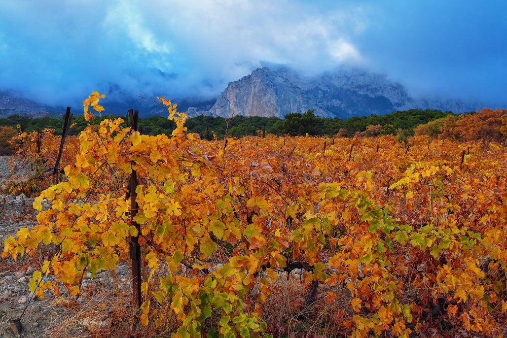 Photograph by Дмитрий Цыпляев