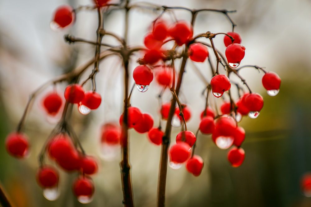 Фотография автора Юрий Фефилов
