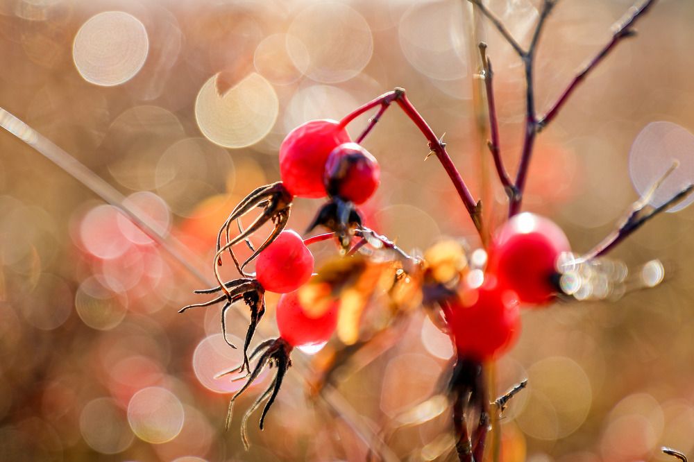 Фотография автора Юрий Фефилов