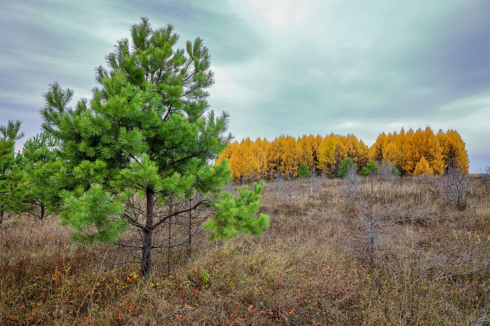 Фотография автора Юрий Фефилов