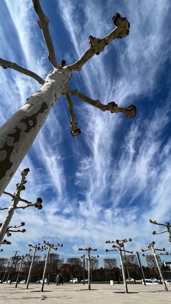 Photograph by Ольга Кондакова