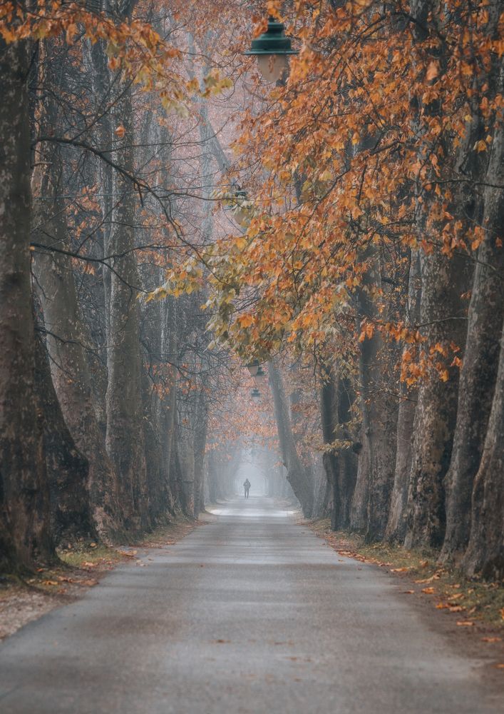 Photograph by Demir Pepic