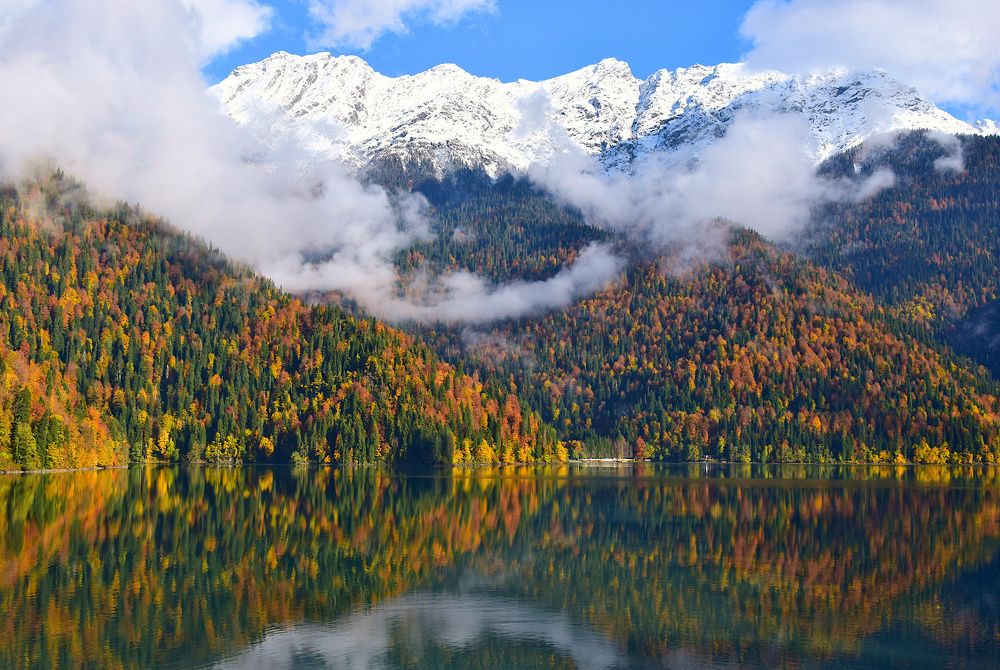 Photograph by Margo Margo