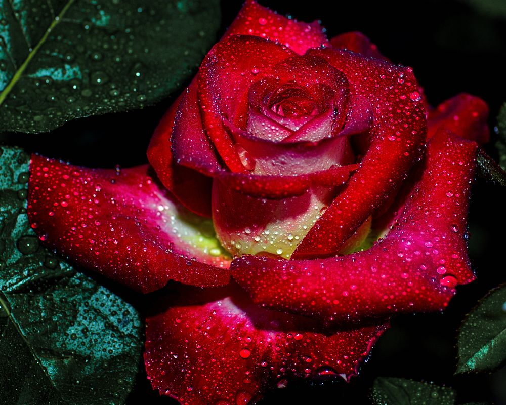 Photograph by Виктор Холодов