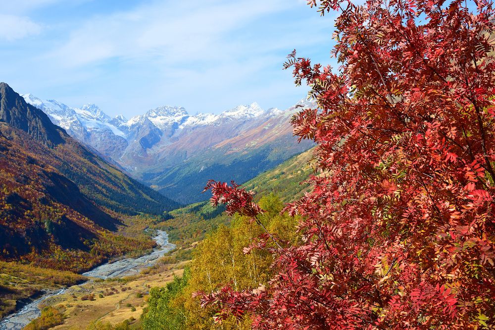 Photograph by Margo Margo