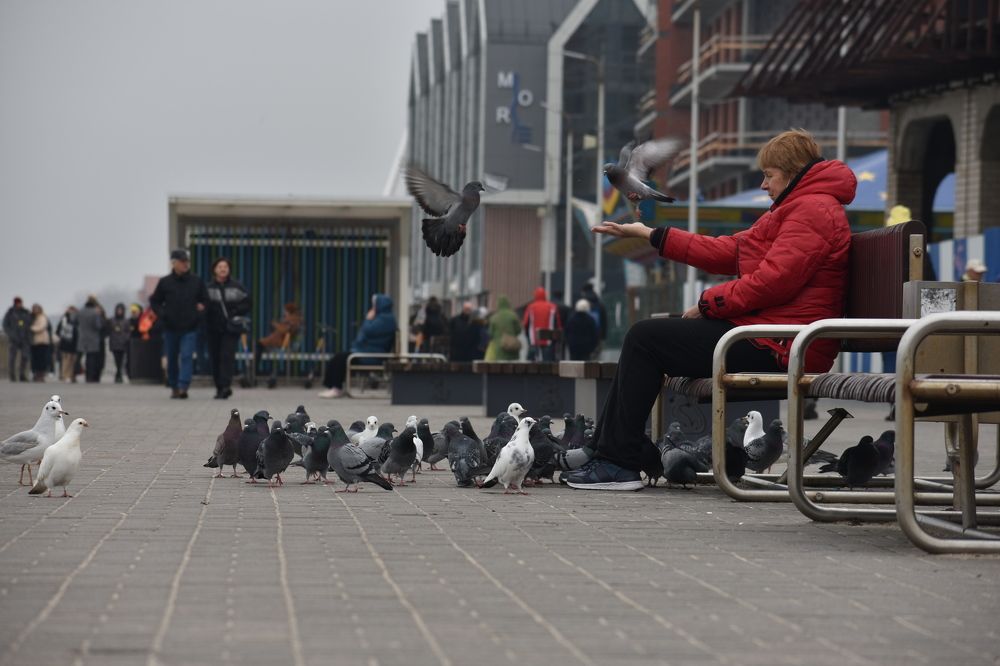 A woman with pigeons