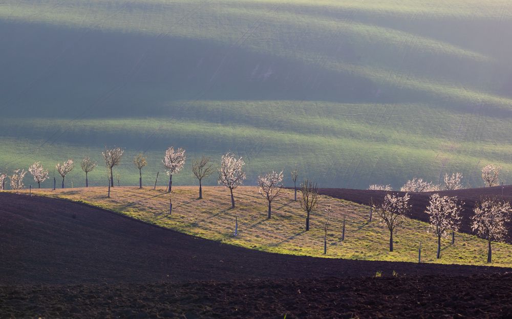 Photograph by Евгения Чех